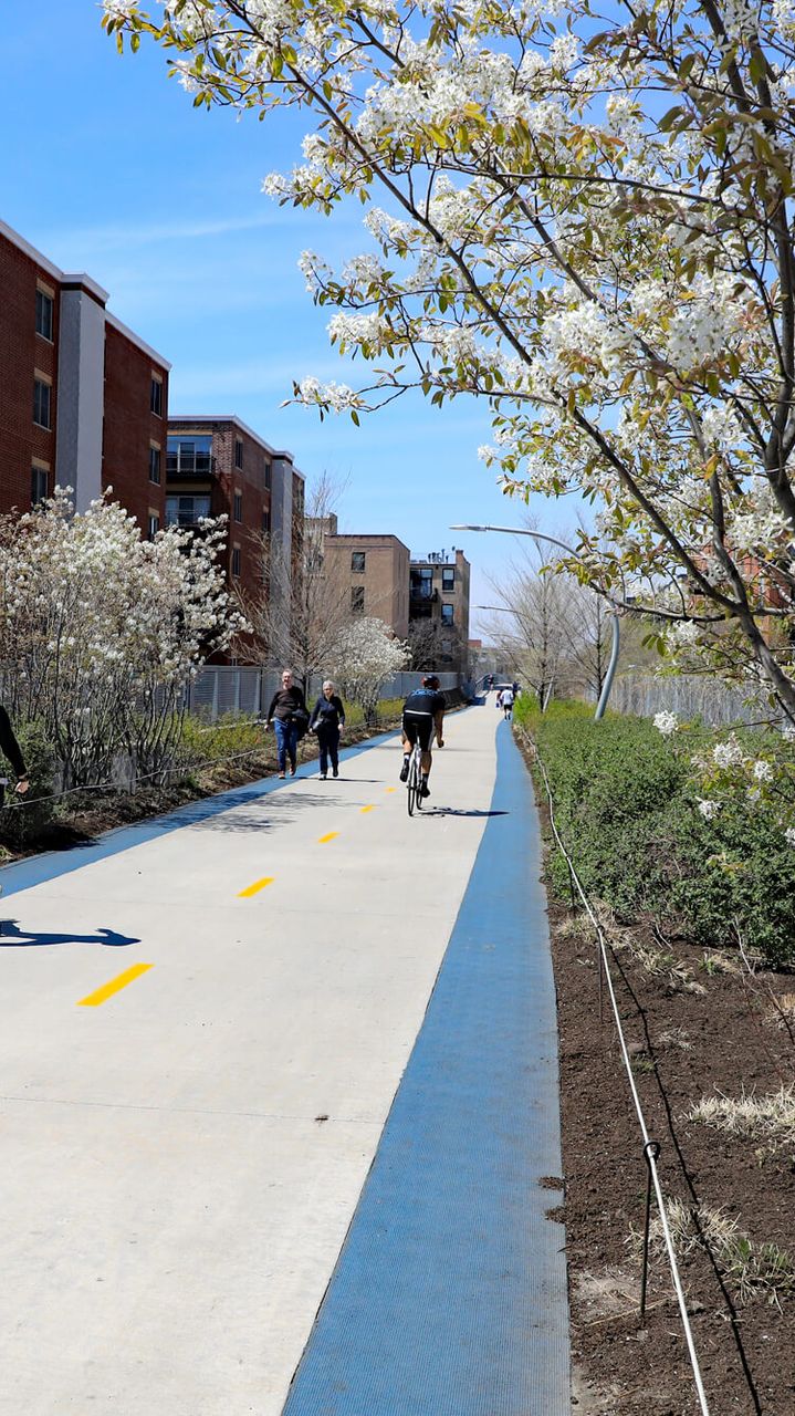 Chicago Neighborhoods Near The 606 Trail: Live Near The West Side's Top ...