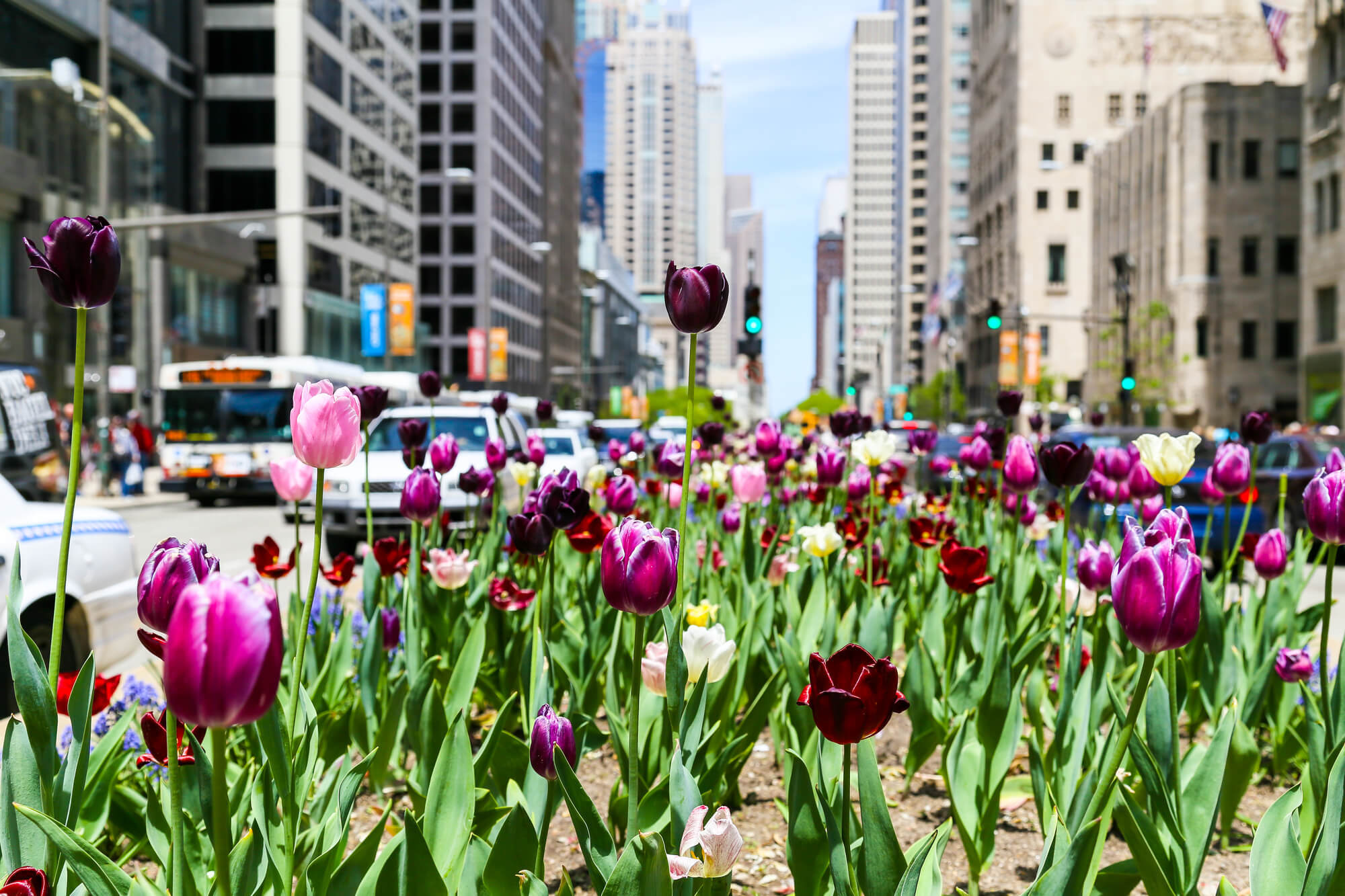 Most Expensive Condo Buildings on Michigan Avenue 