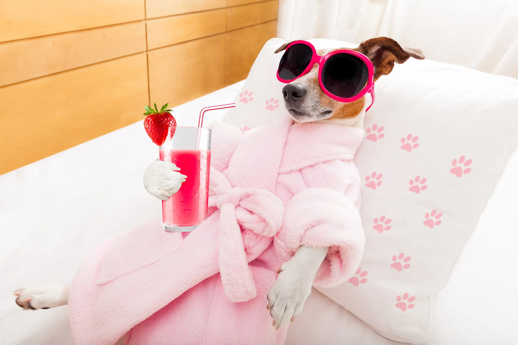 South Loop Dog-Friendly Condo Buildings