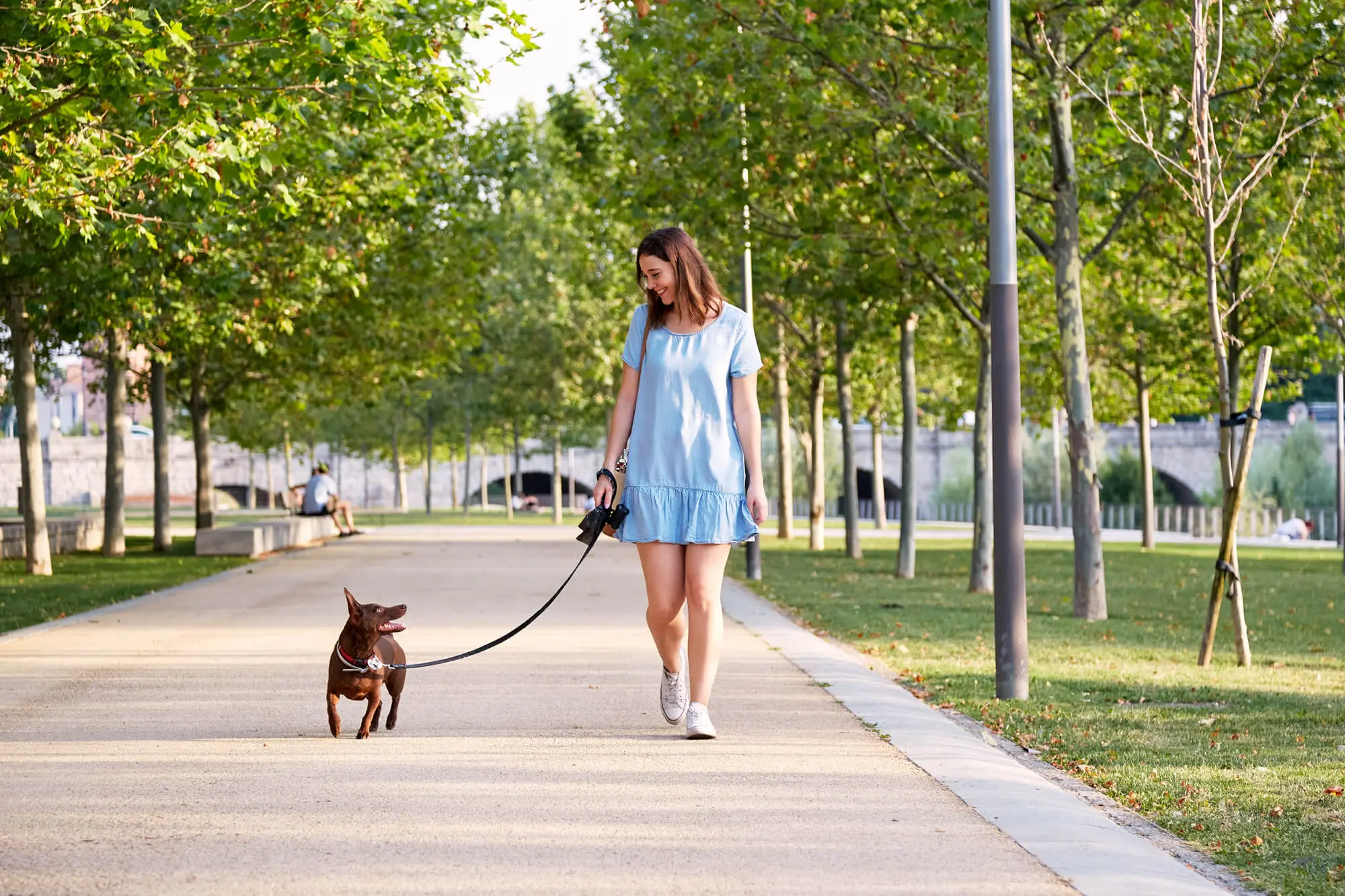 Condo Buildings in West Loop With Dog Amenities