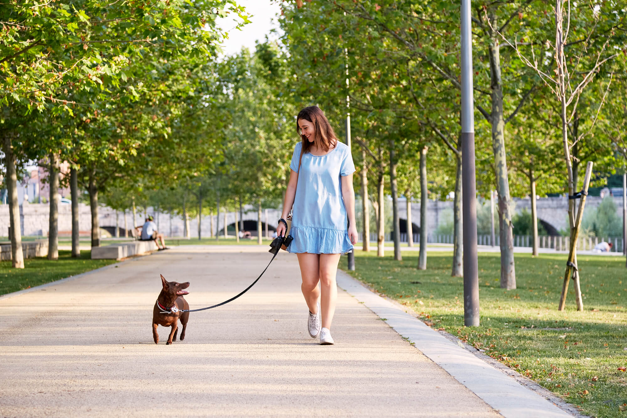 South Loop Condos With Dog-Friendly Amenities 