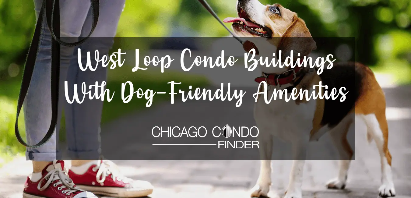 Picture of West Loop Condo Buildings With Dog-Friendly Amenities Pet-Owners Must ...